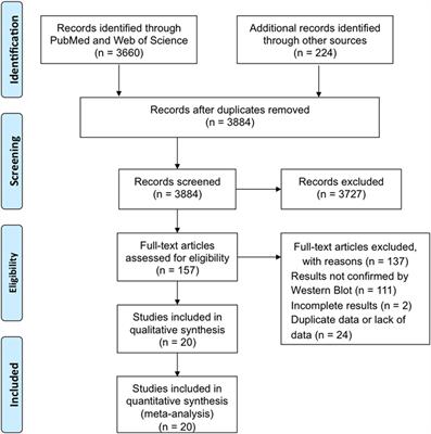 Frontiers | Evaluation Of Blood-Based Antibody Rapid Testing For HIV ...